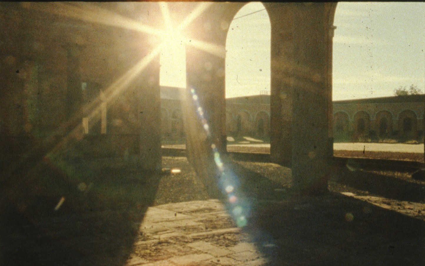 Fiona Tan, Archive / Ruins at Peter Freeman, photo 9