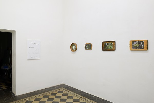 Image 2 of 15