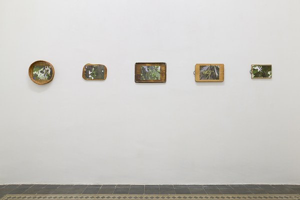 Image 3 of 15