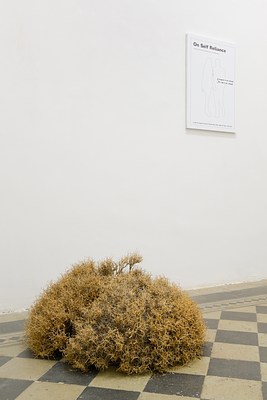 Image 5 of 15