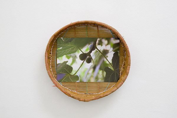 Image 7 of 15