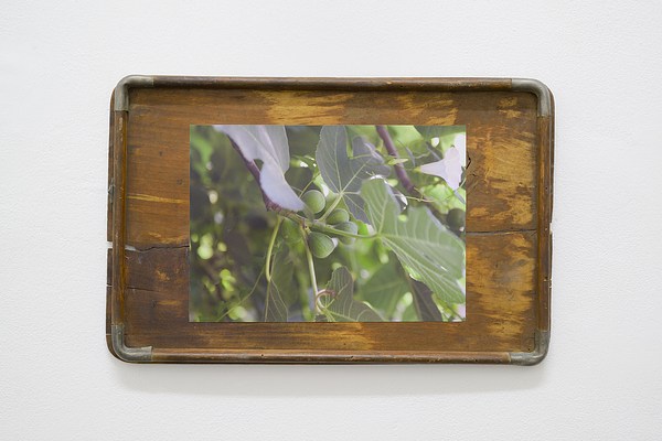 Image 9 of 15
