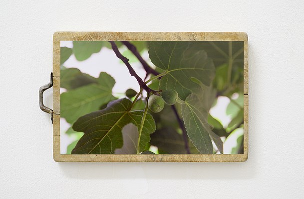 Image 11 of 15