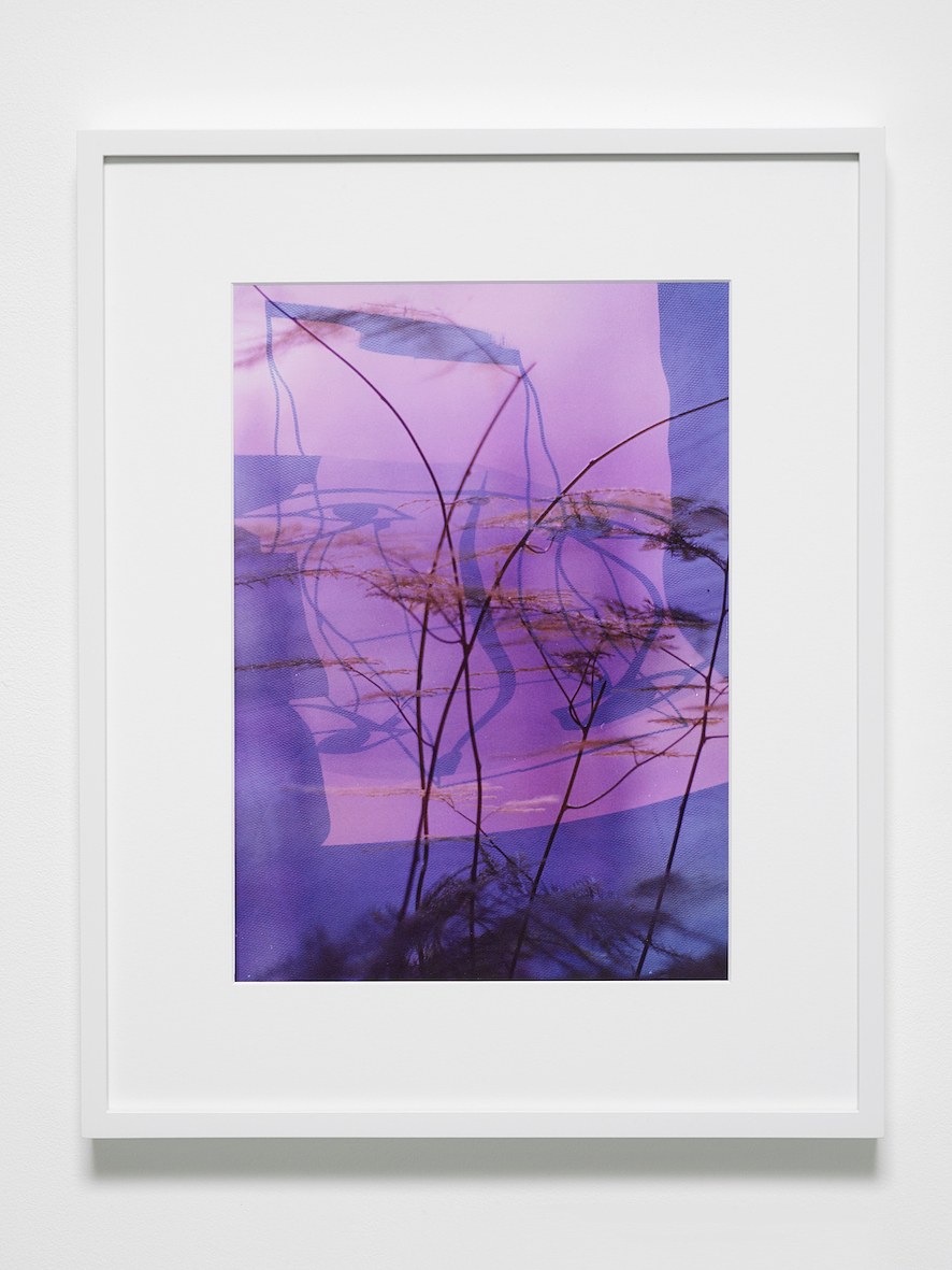 Josh Brand, Condo London 2020 at Museum St, photo 10