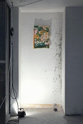 Image 20 of 26