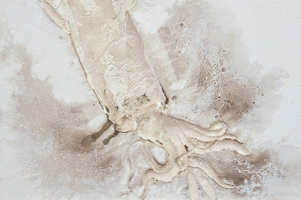 Image 30 of 30