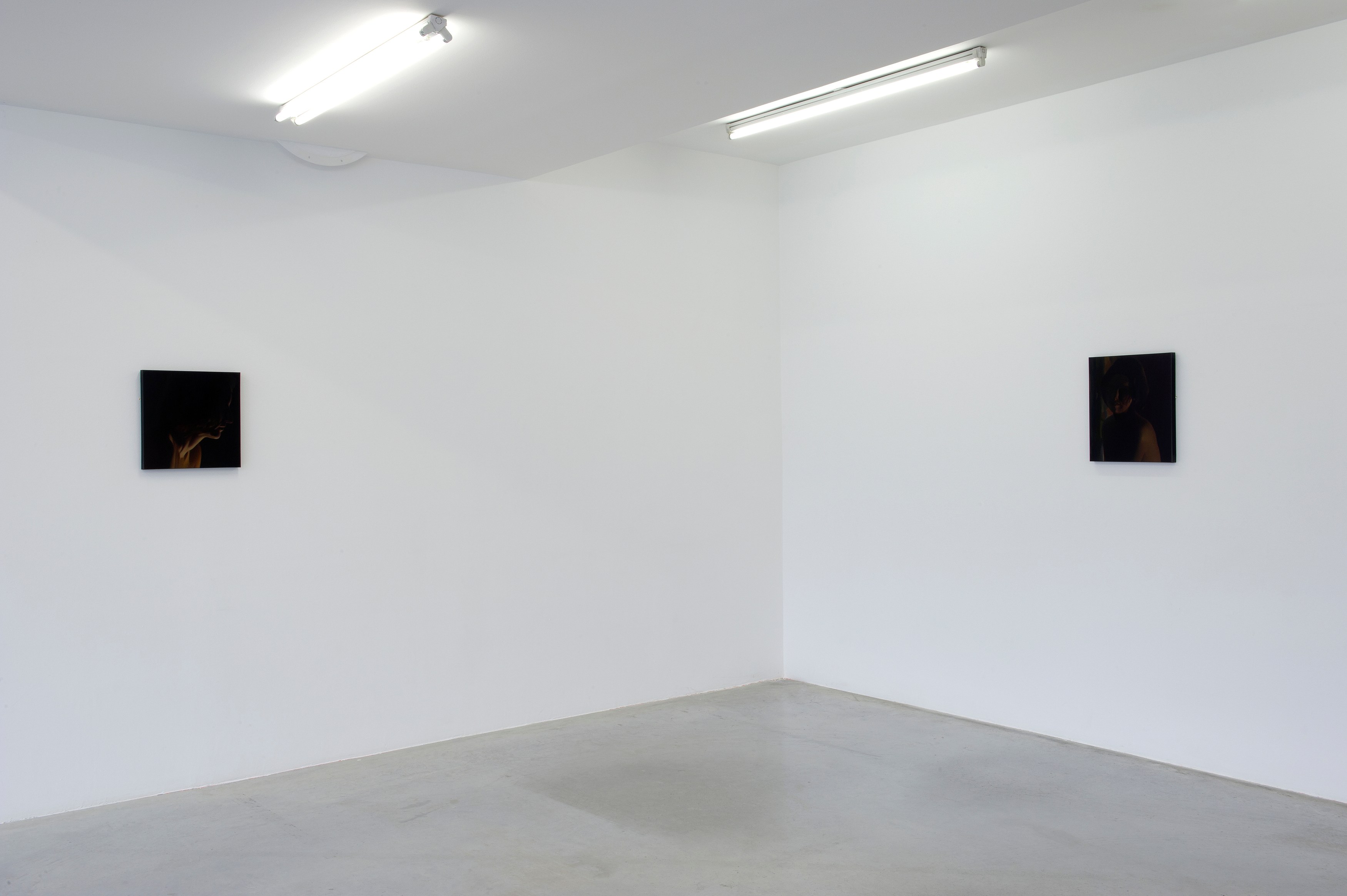 Monica Majoli, Pam at Air de Paris, photo 5