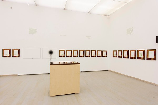 Image 7 of 16