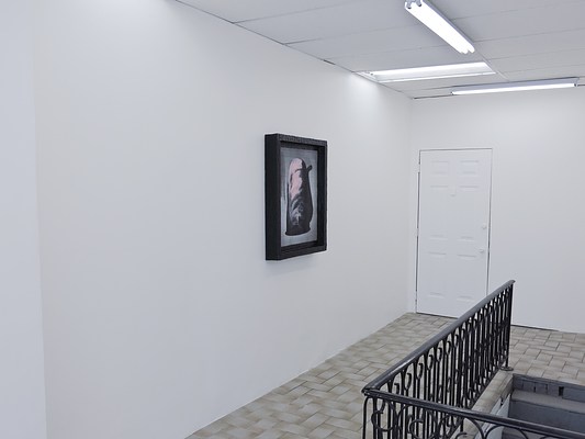 Image 3 of 14