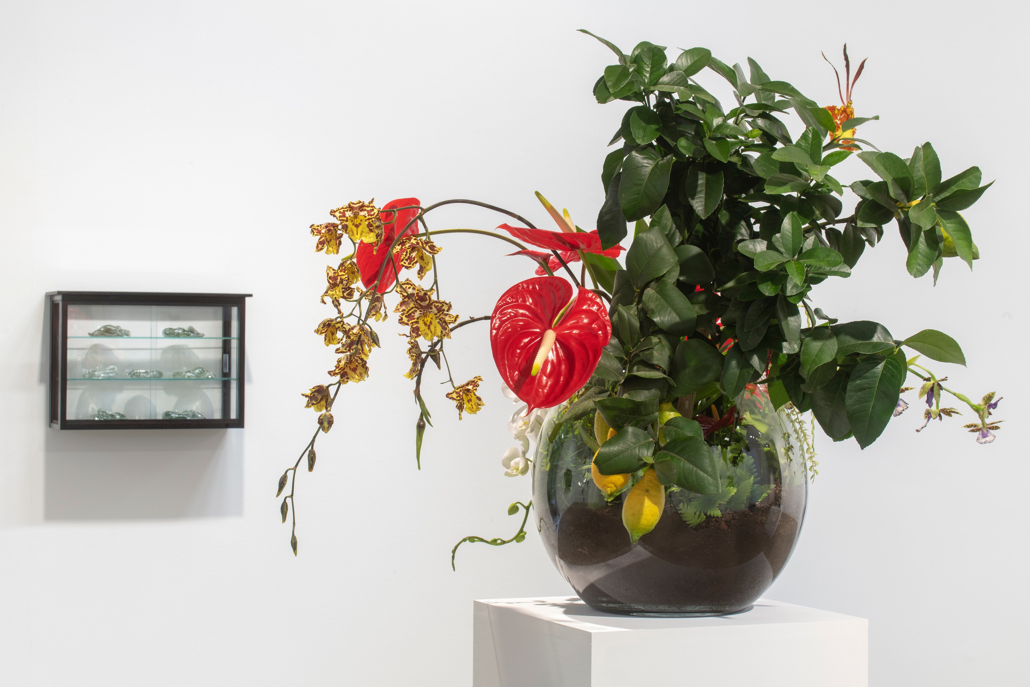 Seen in a crystal ball, Seen in a crystal ball at Galerie Chantal Crousel, photo 21
