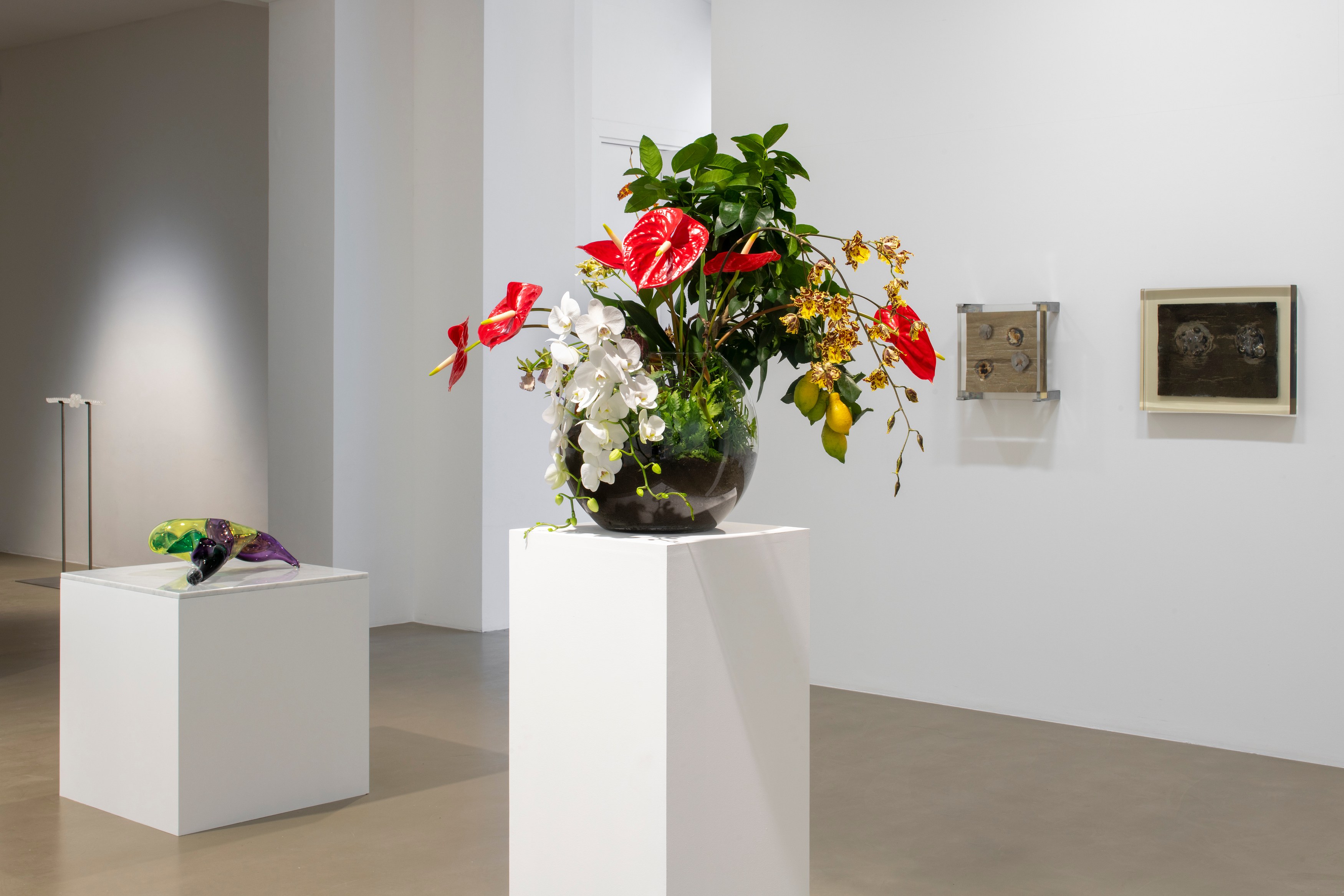 Seen in a crystal ball, Seen in a crystal ball at Galerie Chantal Crousel, photo 22