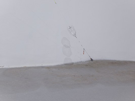Image 11 of 41