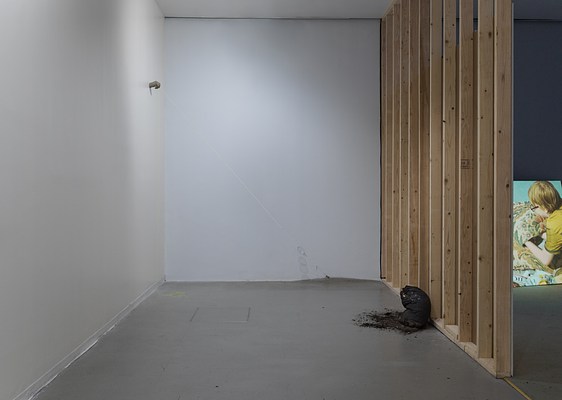 Image 16 of 41
