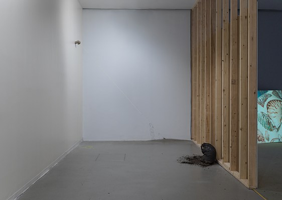 Image 17 of 41
