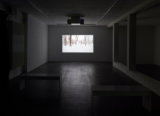 Image 2 of 6
