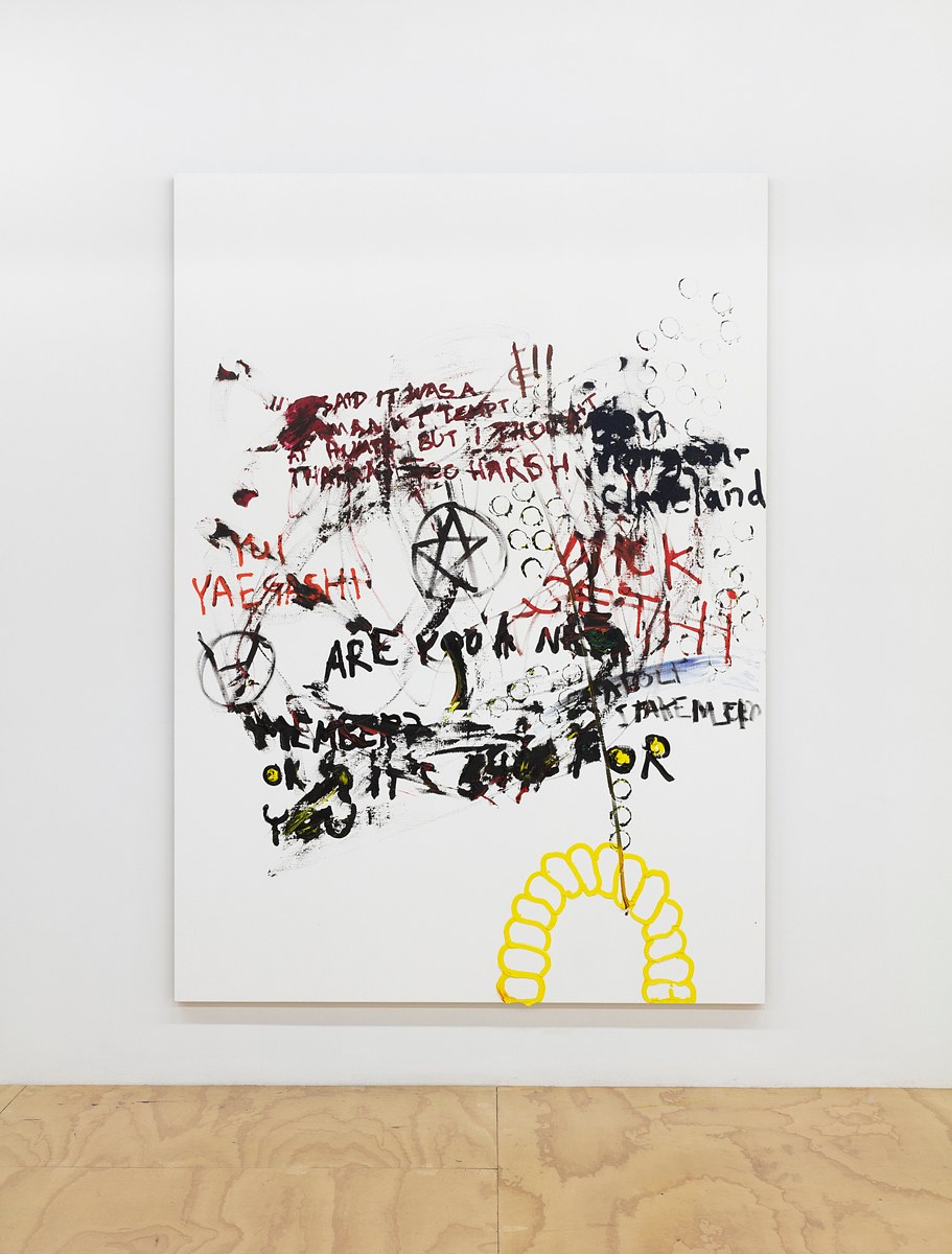 Merlin Carpenter, Paint-It-Yourself at Reena Spaulings Fine Art, photo 9