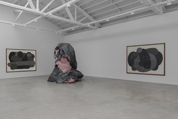 Image 11 of 21