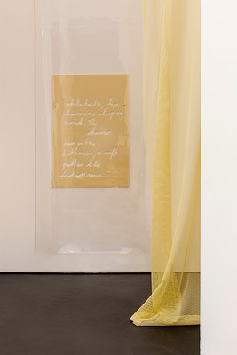 Image 11 of 13