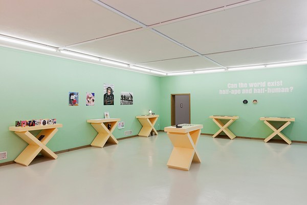 Image 19 of 21