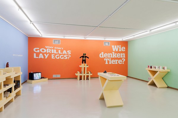 Image 21 of 21