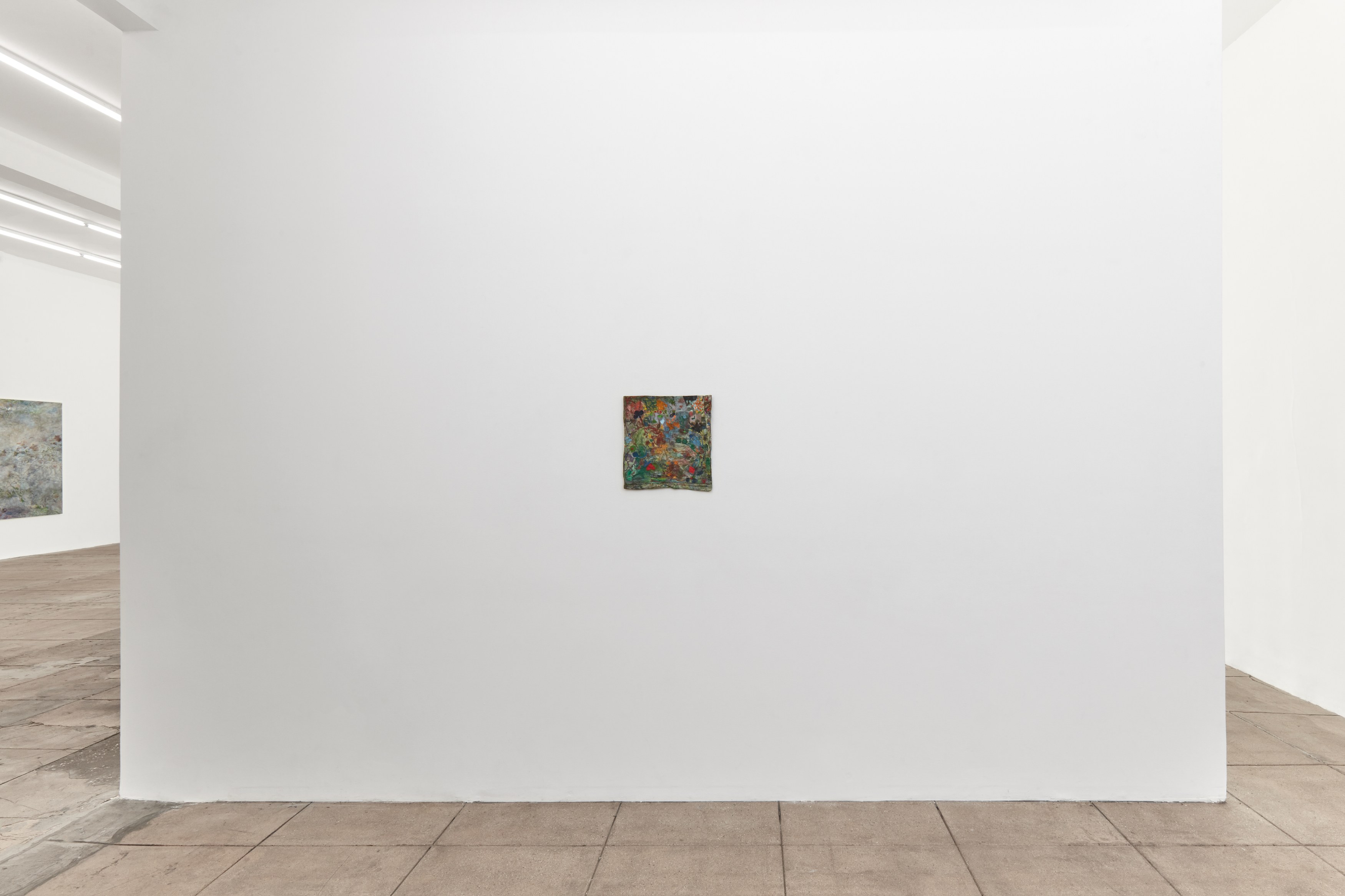 Gracie DeVito, Motion Picture Seaweed at Overduin and Kite, photo 8