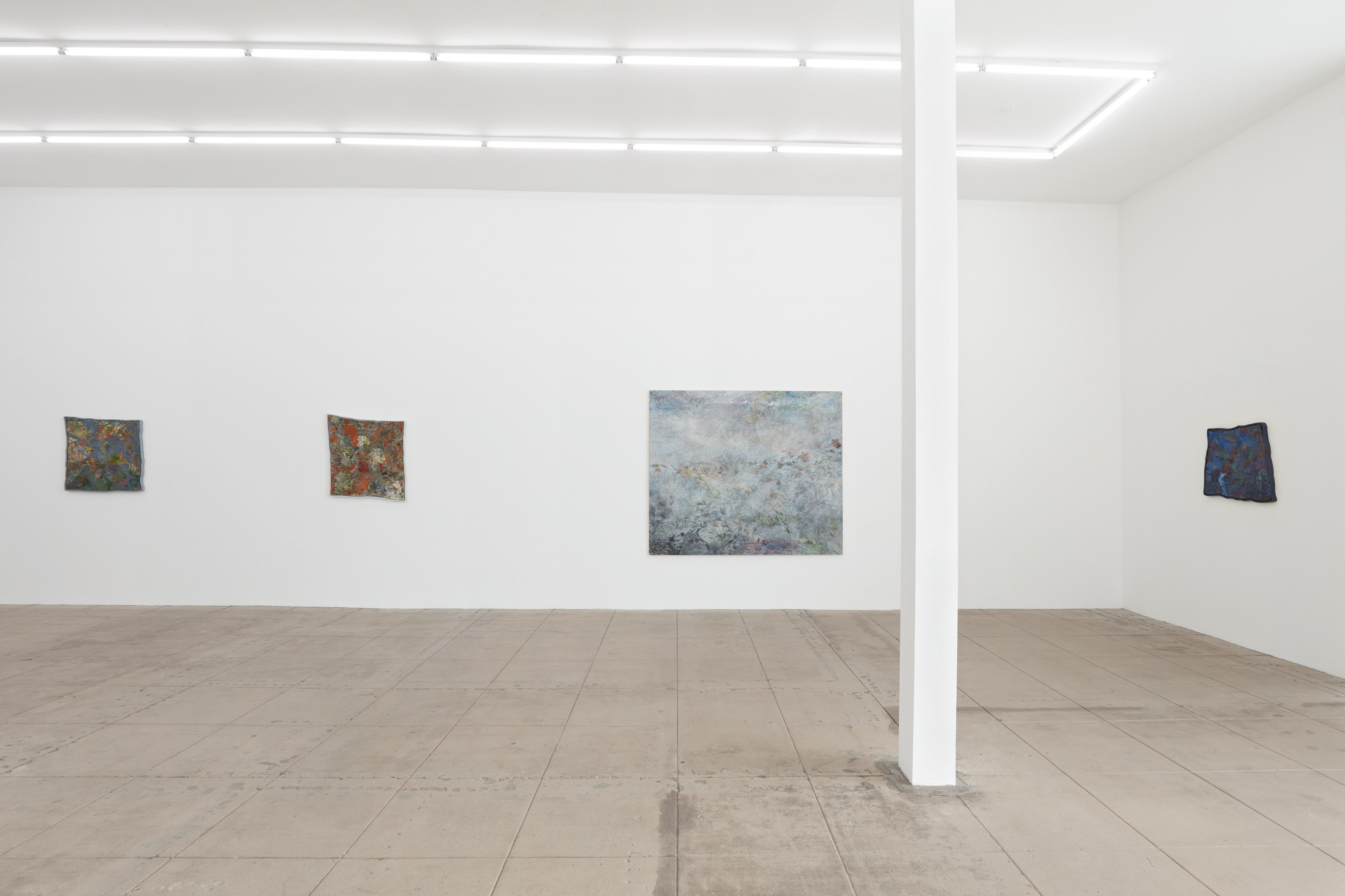 Gracie DeVito, Motion Picture Seaweed at Overduin and Kite, photo 16