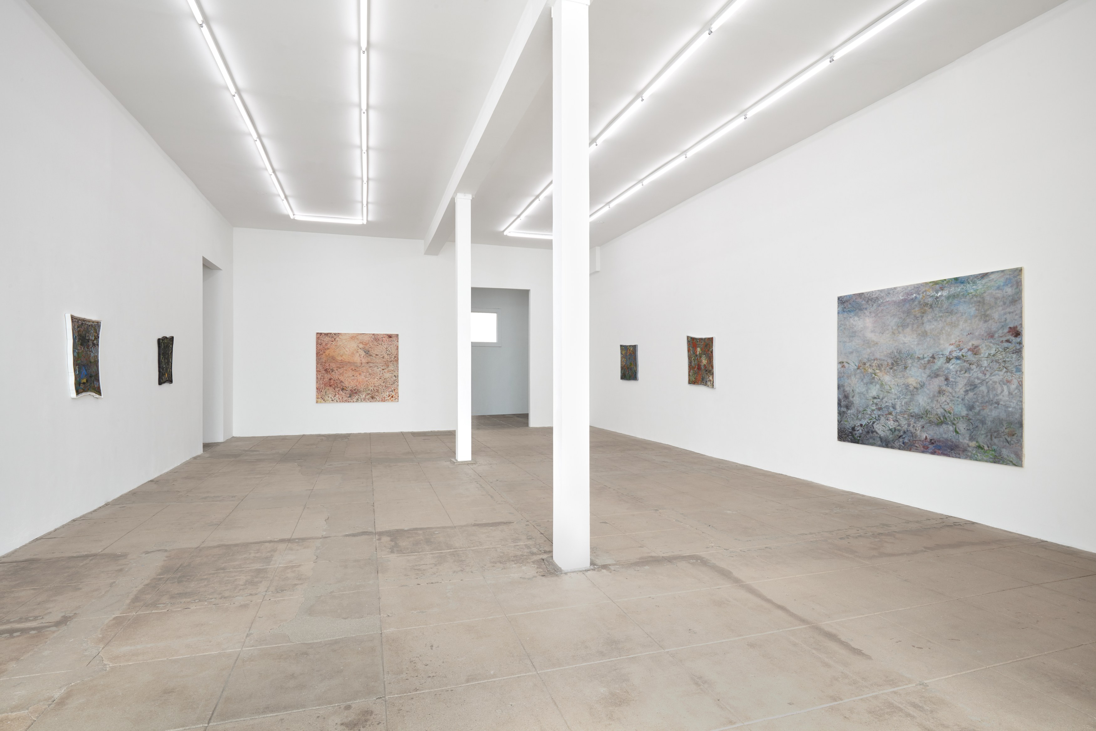 Gracie DeVito, Motion Picture Seaweed at Overduin and Kite, photo 21