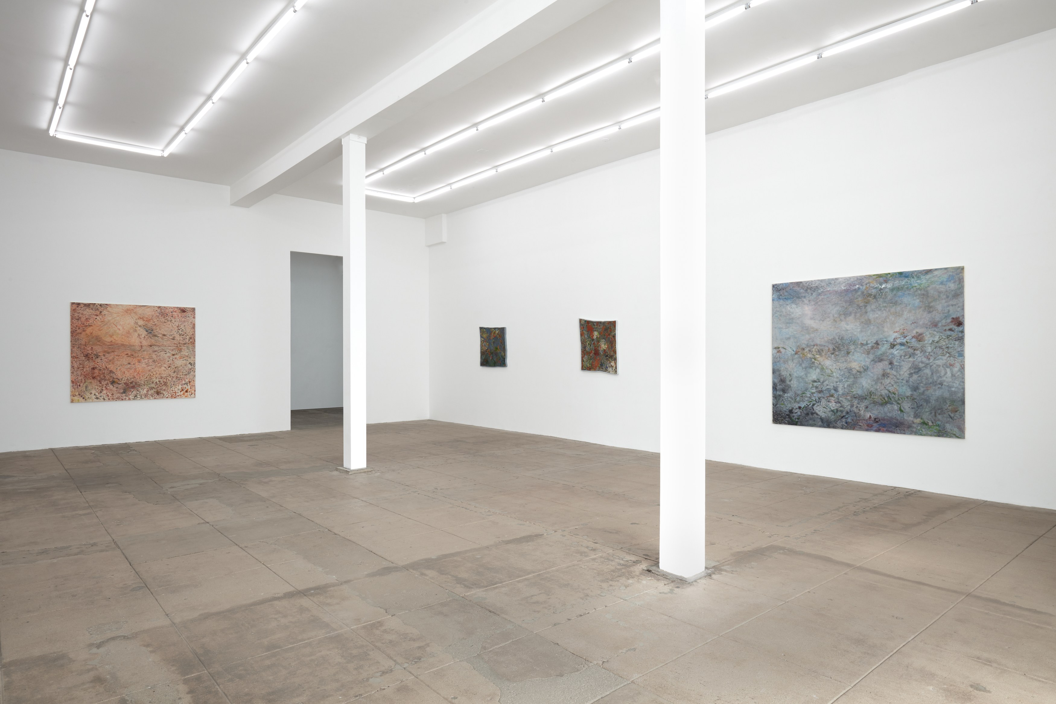 Gracie DeVito, Motion Picture Seaweed at Overduin and Kite, photo 23