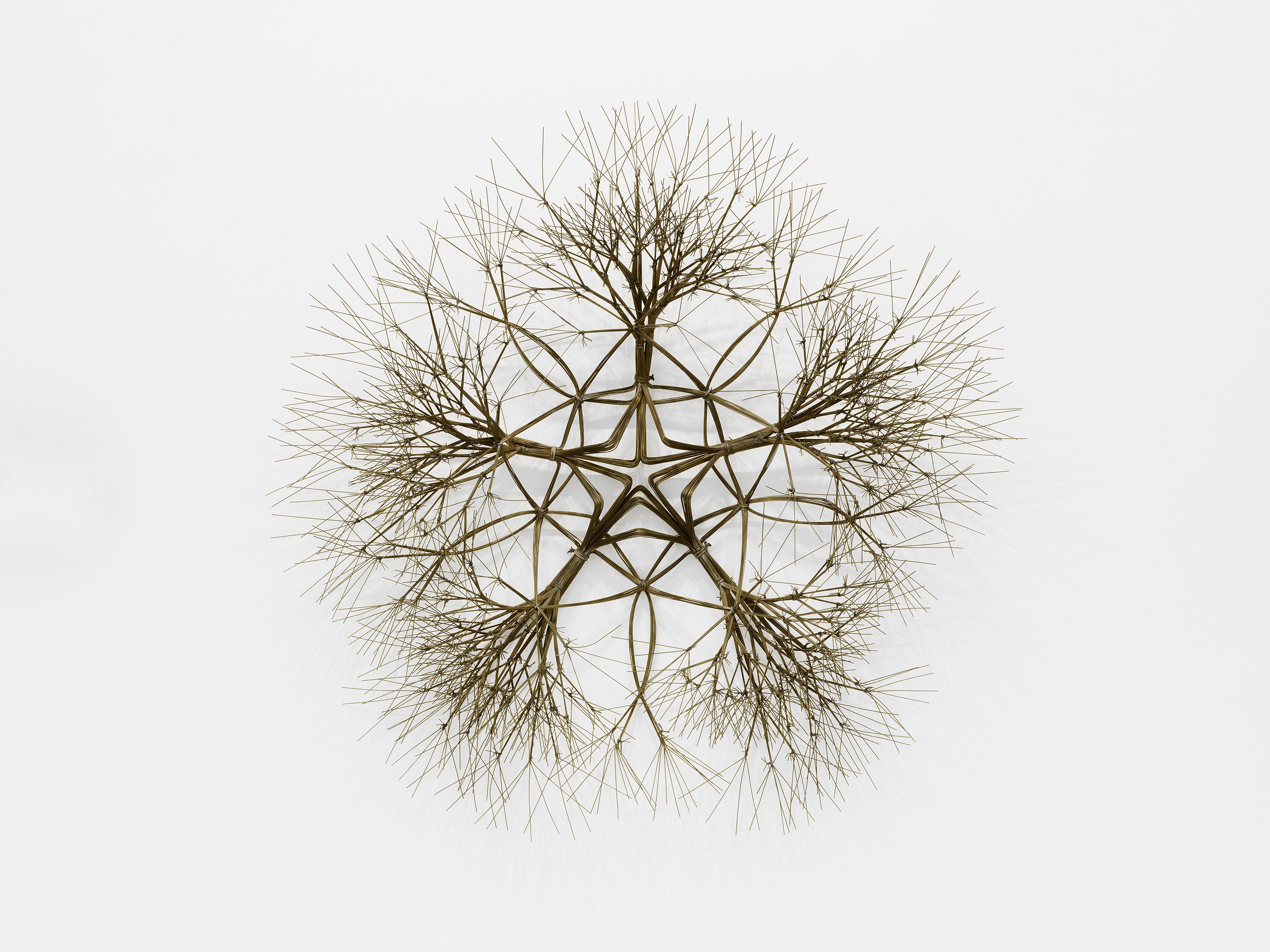 Ruth Asawa, Untitled at Josh Smith Studio, Brooklyn, photo 17