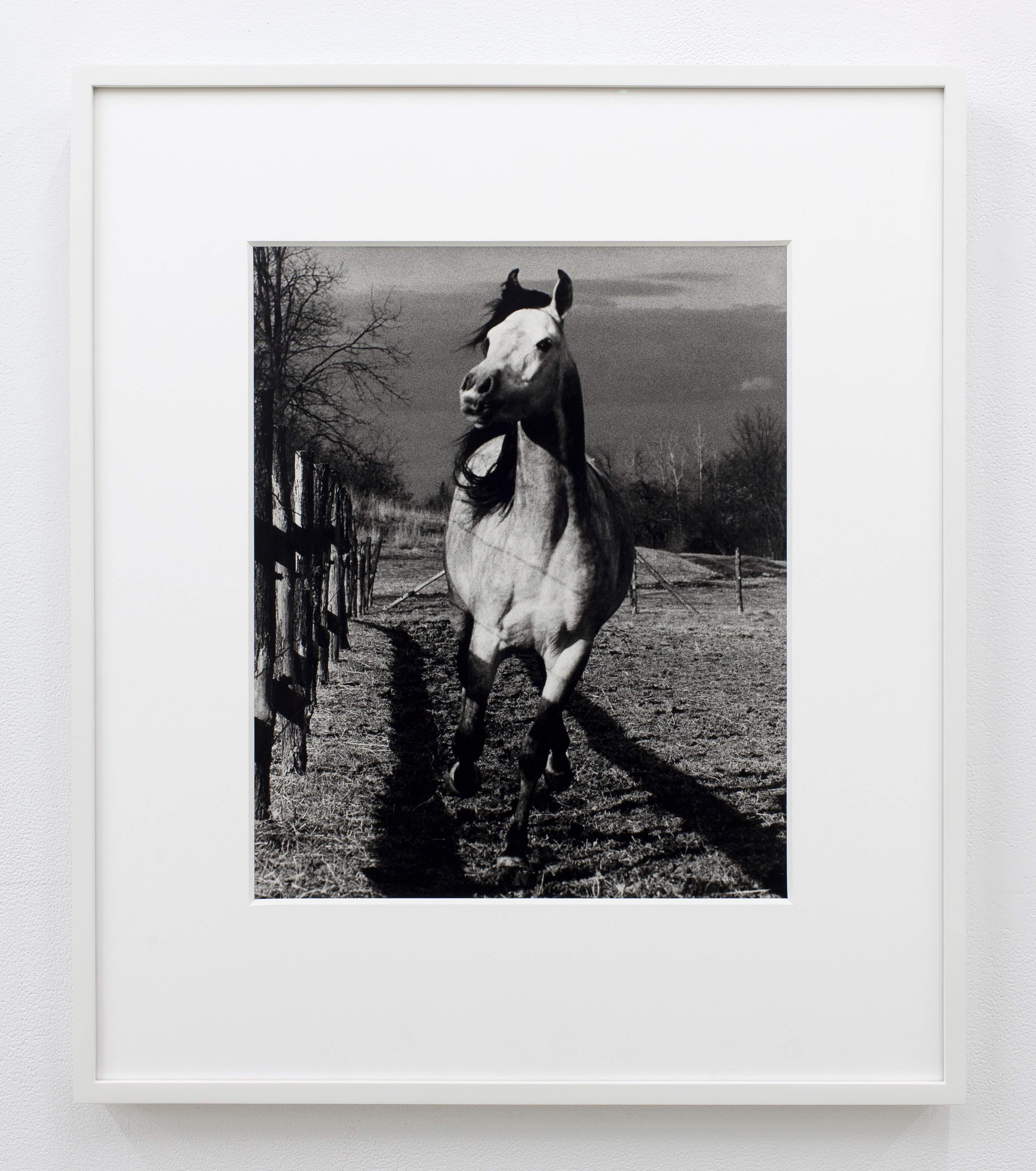 Installation view 3
