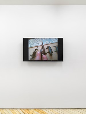 Image 11 of 30