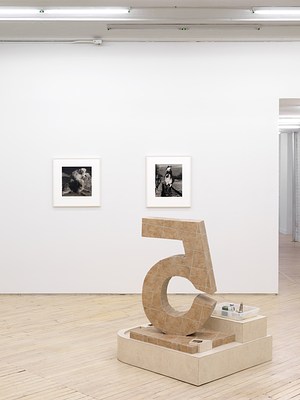 Image 15 of 30