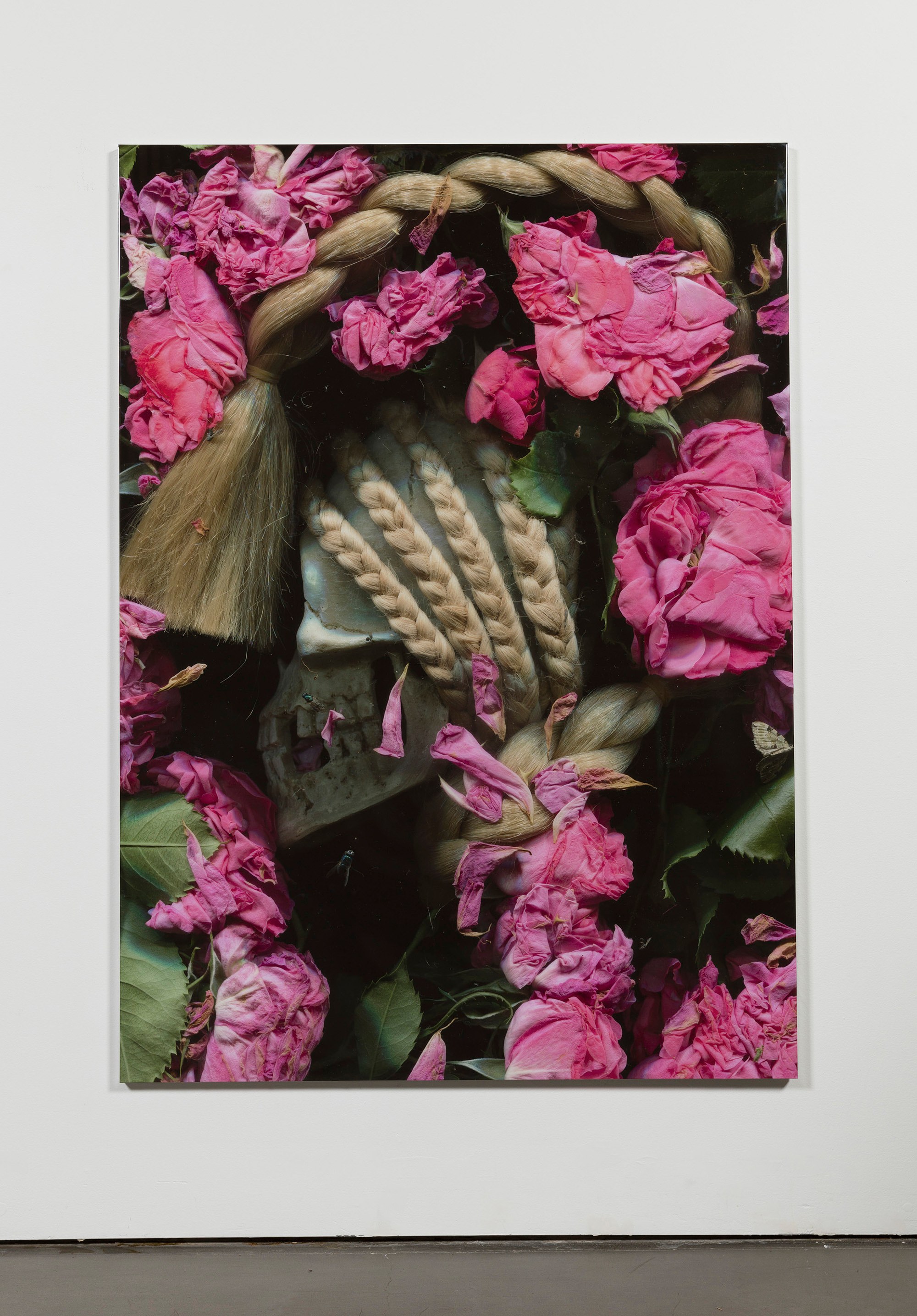 Lucie Stahl, End of Tales at Freedman Fitzpatrick, photo 11