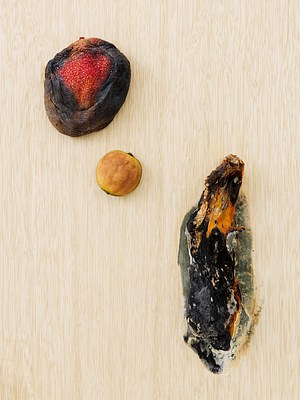 Image 19 of 26