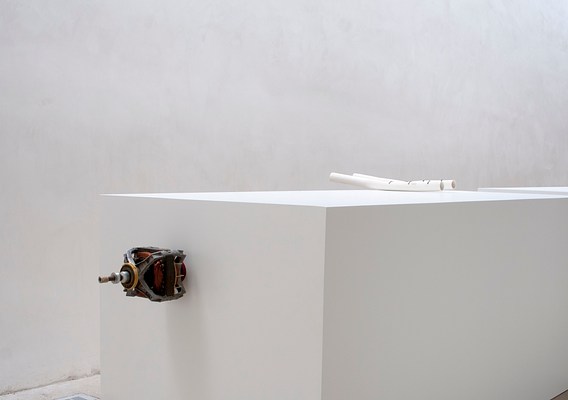 Image 7 of 19
