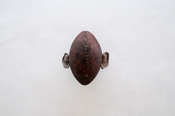 Image 16 of 19
