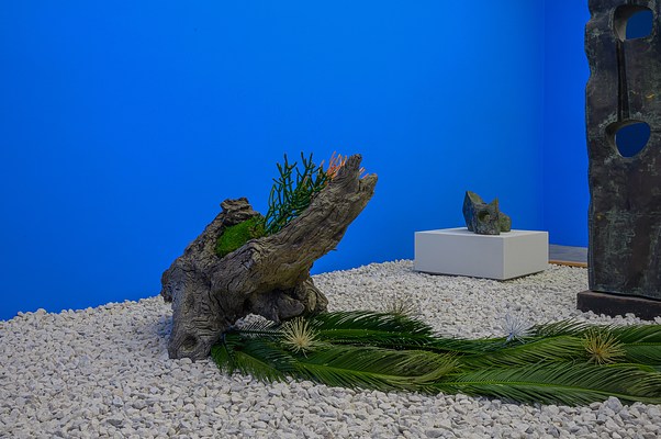 Image 15 of 65