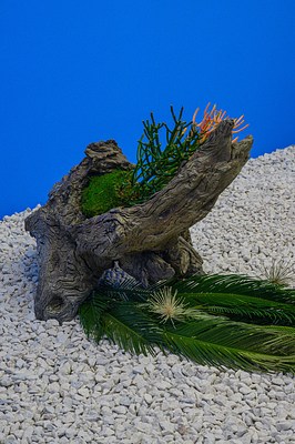 Image 38 of 65