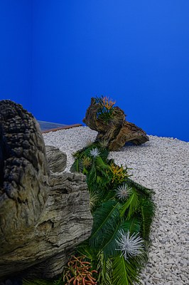 Image 39 of 65