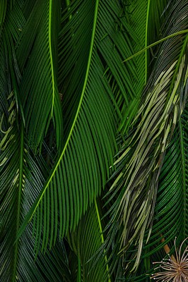 Image 41 of 65