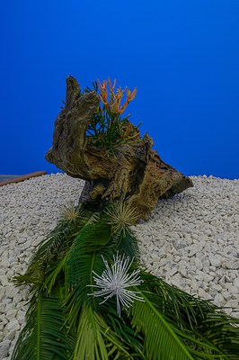 Image 51 of 65