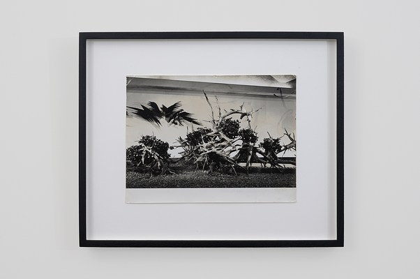 Image 60 of 65