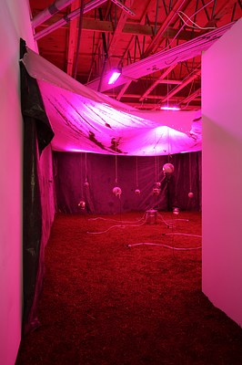 Image 3 of 39