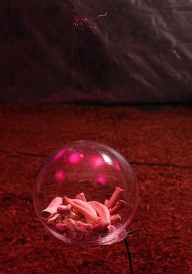 Image 13 of 39