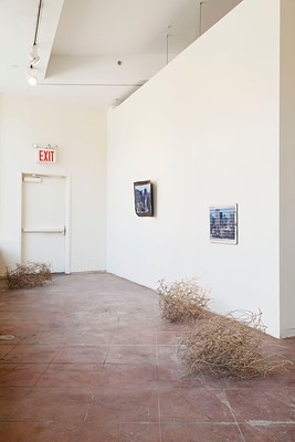 Image 4 of 43
