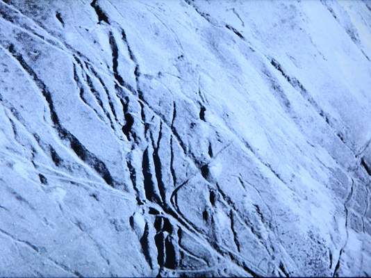 Image 24 of 24