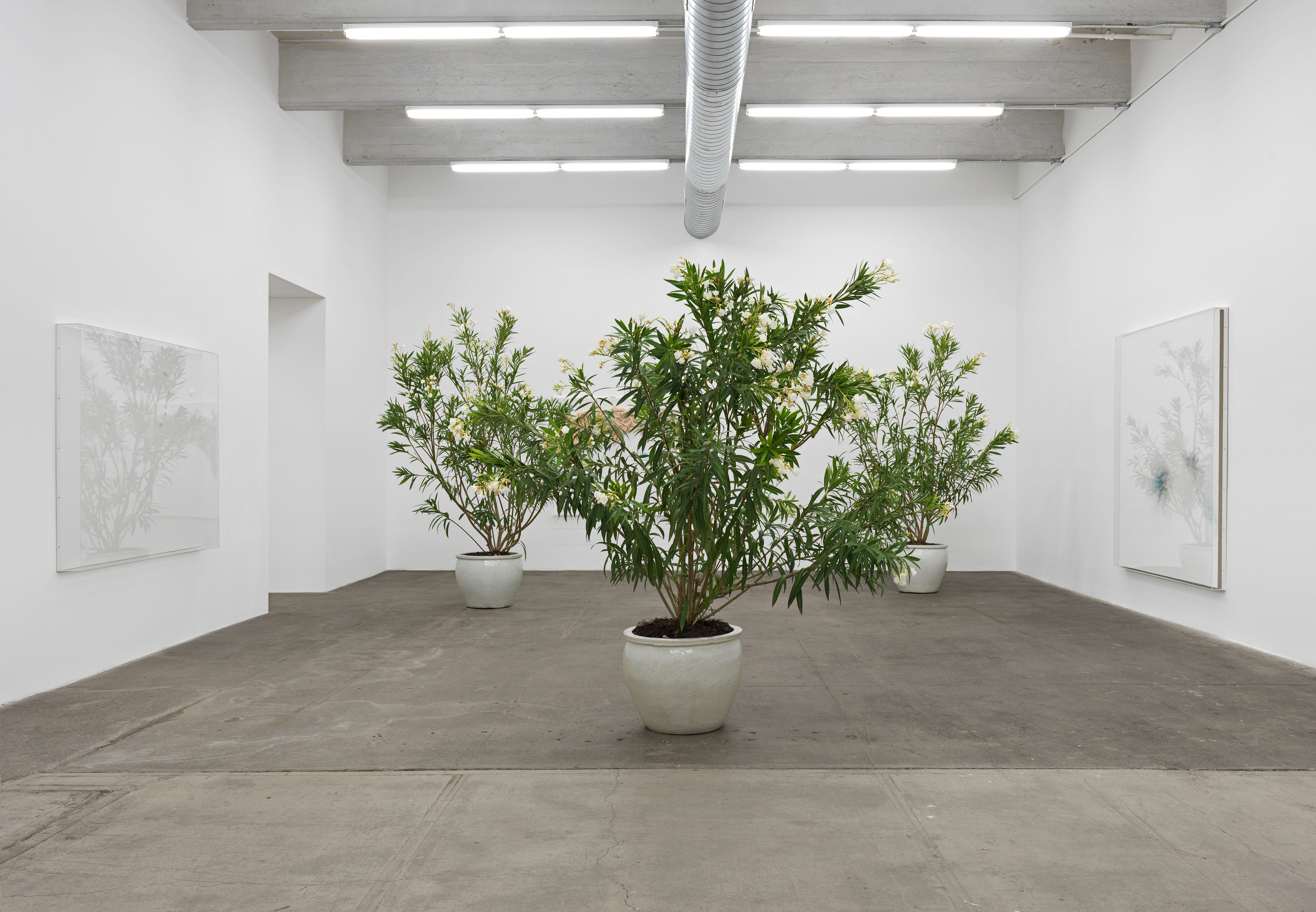 Thilo Heinzmann, Untitled at Bortolami, photo 2