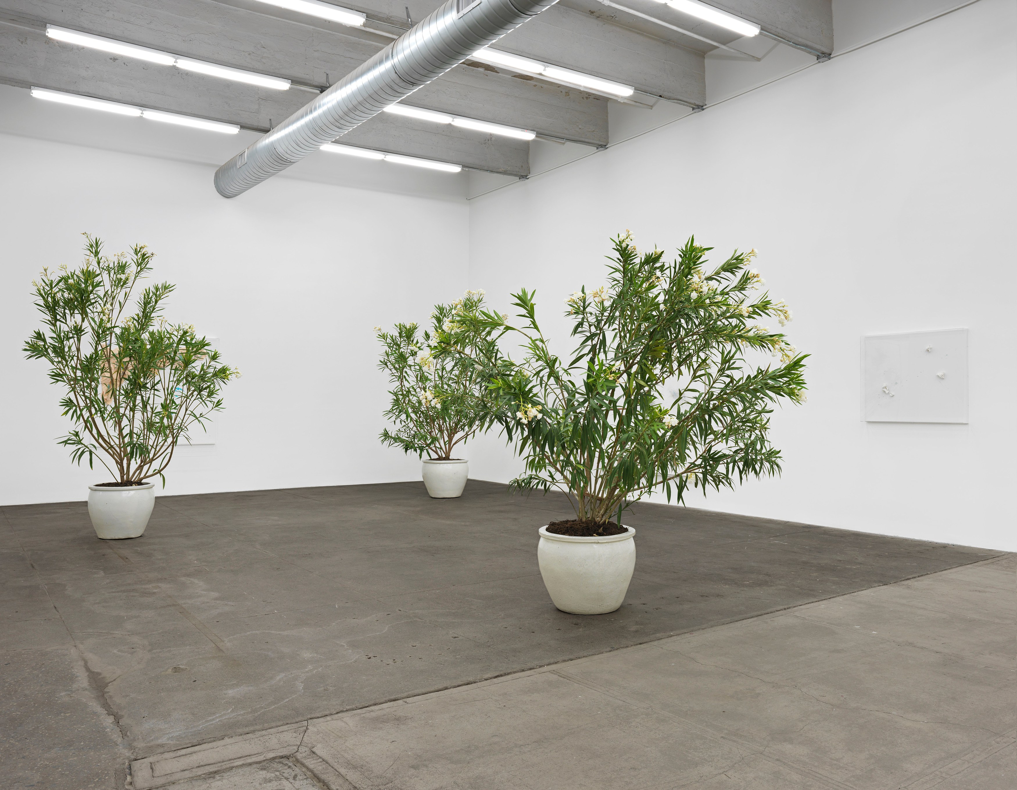 Thilo Heinzmann, Untitled at Bortolami, photo 3