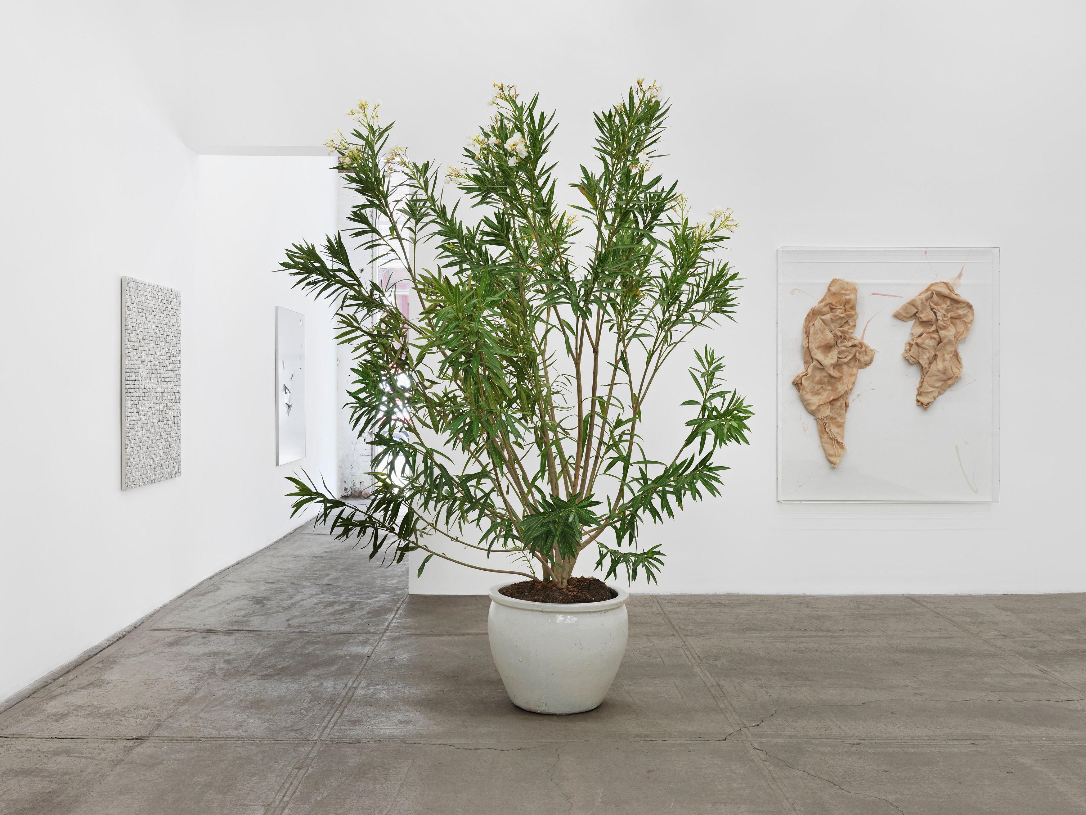 Thilo Heinzmann, Untitled at Bortolami, photo 4