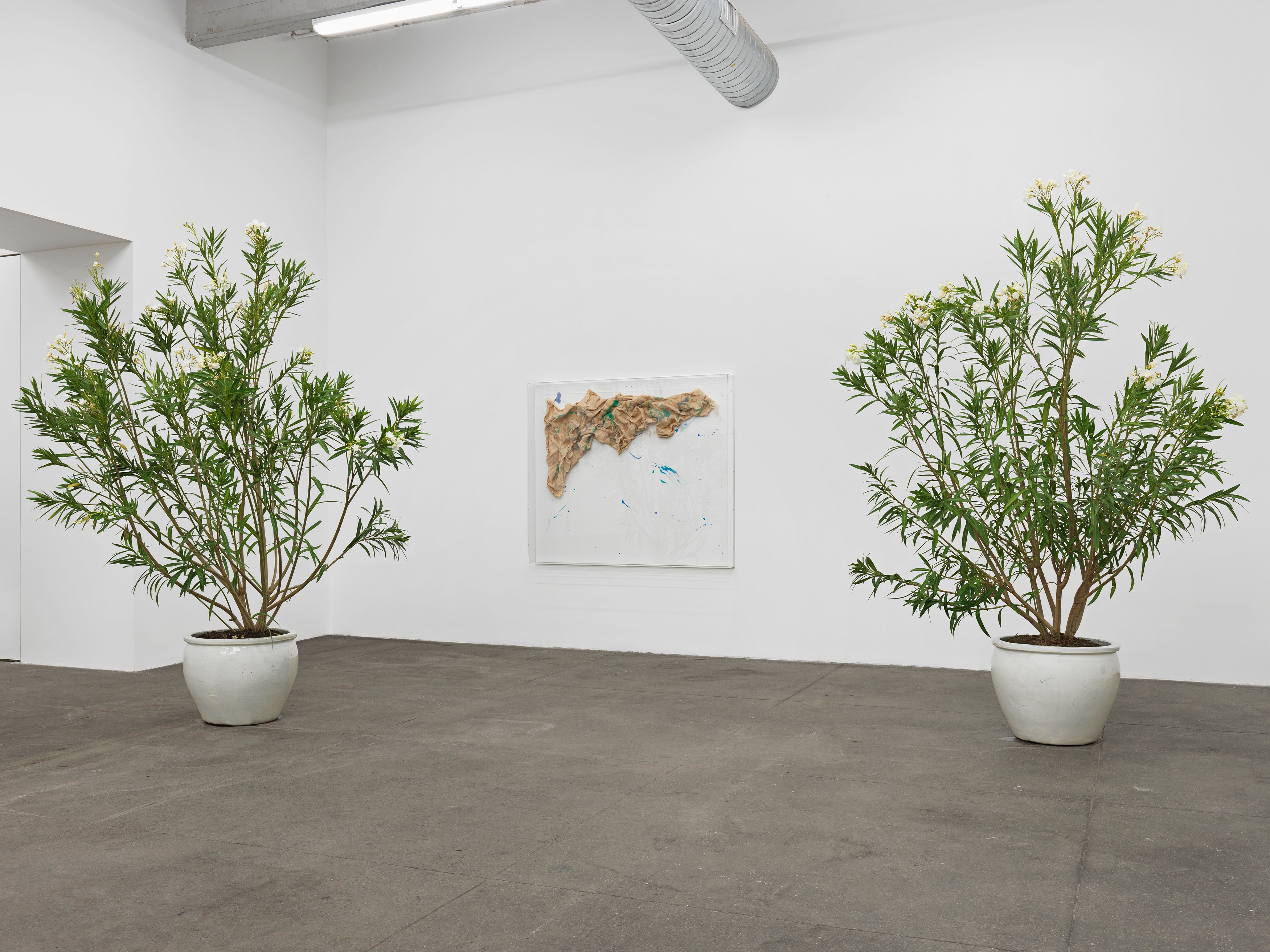 Thilo Heinzmann, Untitled at Bortolami, photo 5
